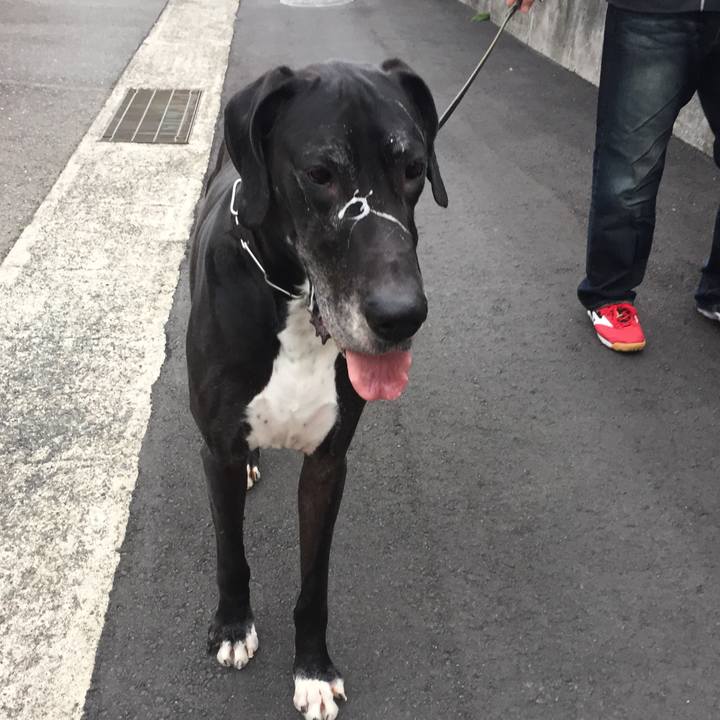 05c50105 3196 4fb2 be74 1c7386e8213f 1515299196797