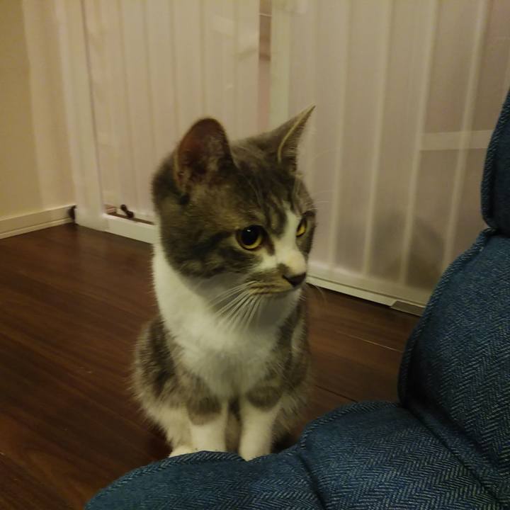 05c50128 19ff 488e 8ad4 d0526ad1c587 1578497094765