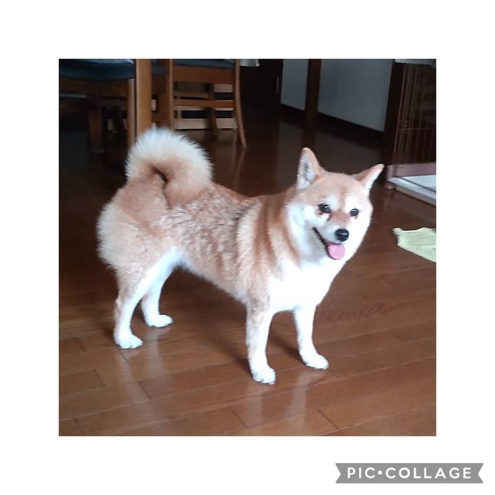 05c50860 8722 45e8 b495 7cebd3268fcc 1752918922377