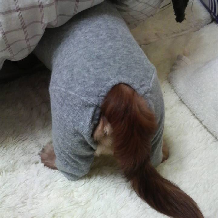 05c51873 a531 415d 950f 9ada4590054c 1542911321580