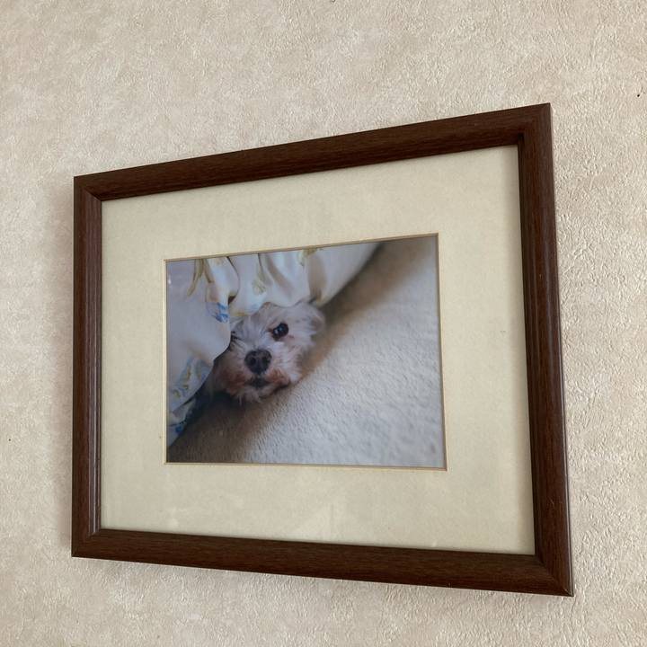 05c52402 082d 4974 b9d0 56ef2dffe732 1742694184008