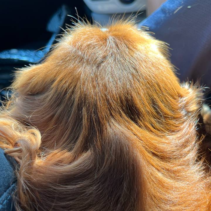 05c55bce ecd4 4d36 8c76 5137fc60cef4 1694820741946