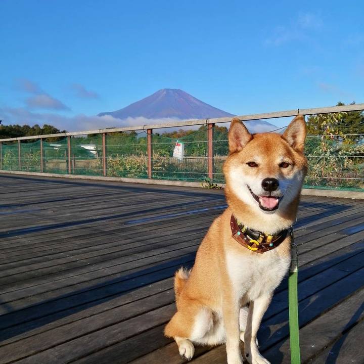 05c56d7b 169e 45d5 bd04 c11dd9ce4a5f 1633905560356