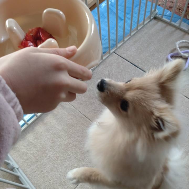 05c5808b 7d50 4e1e b2e6 d0581761964e 1735555769502