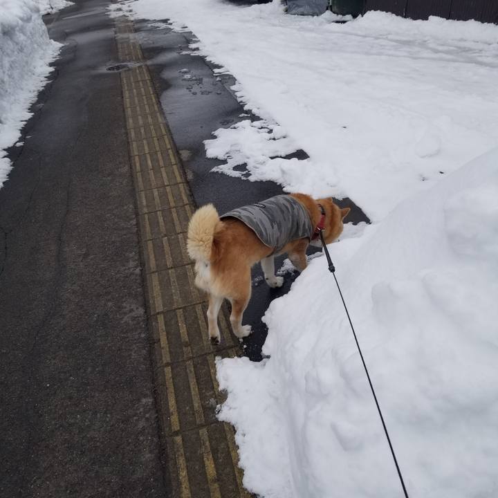 05c5c3a0 e457 45e5 9b0a e28e7a6d1495 1738295116571