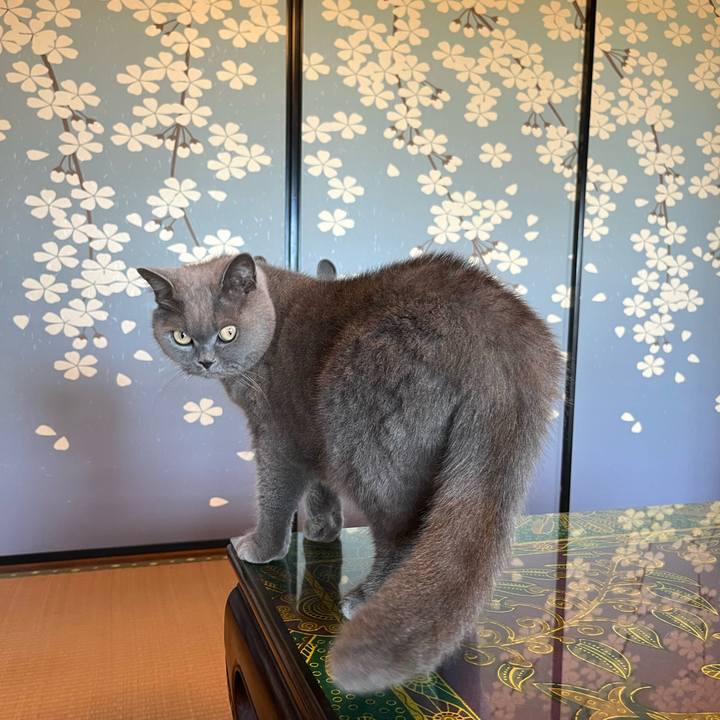 05c5e804 fc7d 44bb bedb 7732d5a888cd 1729985694192