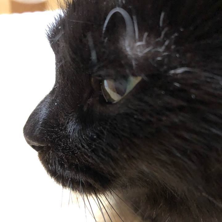 05c5eef6 b2b0 49e7 9a5d 67ac6ebb0f6d 1592601565084