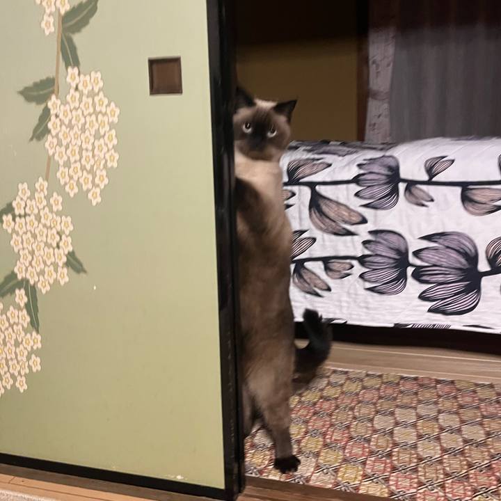 05c5fd29 8ad6 4cf1 9ef6 1bba805dbdf2 1635556034580