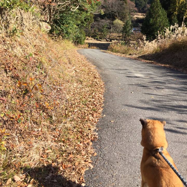 05c60761 3450 414d a853 0b4c8cf17945 1512281734301