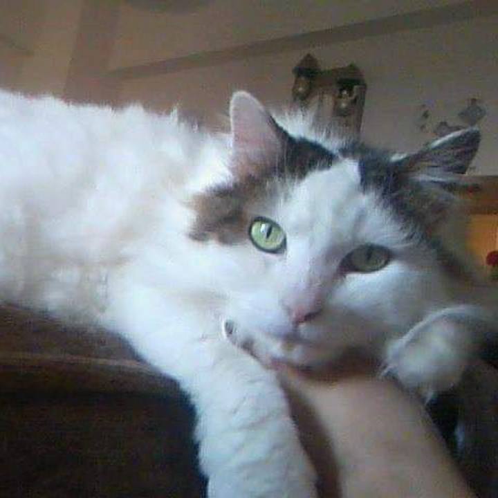 05c60dc5 1e1d 4da7 bcf5 3fb200e9ef76 1683676415701