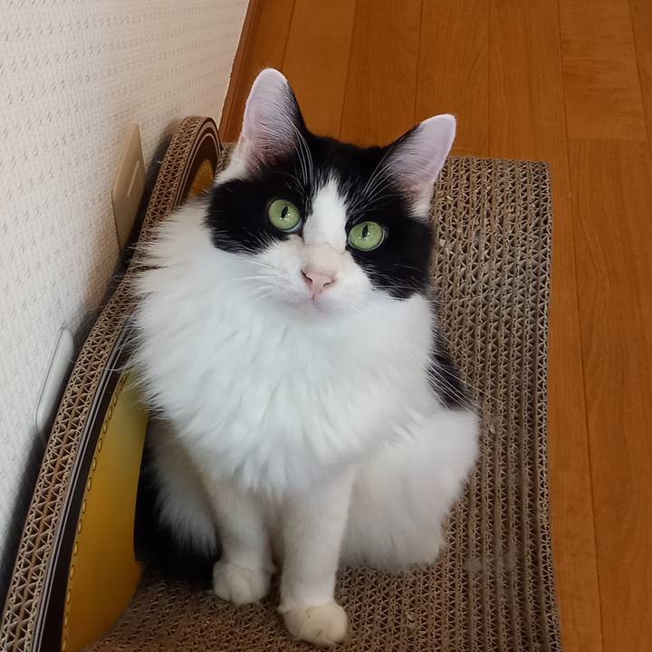 05c6682a 3532 40b7 8a68 cf784cc54889 1600983538419