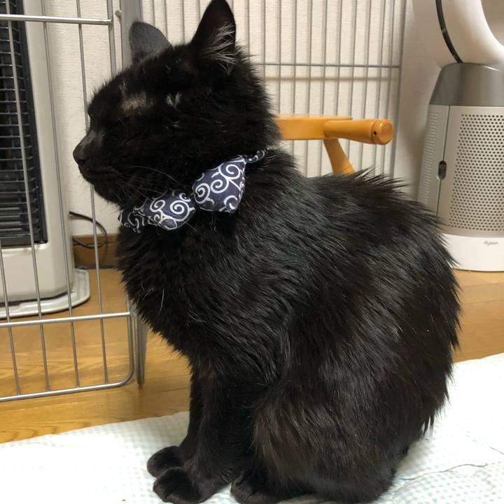 05c679e6 89fe 46cf 81fe b555ea1024dd 1578487801089