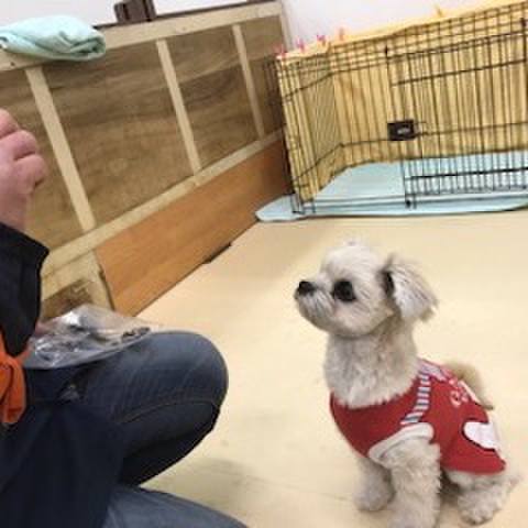 05c67db4 adbc 424a a2f4 fdf58bfd4e25 1516185358696