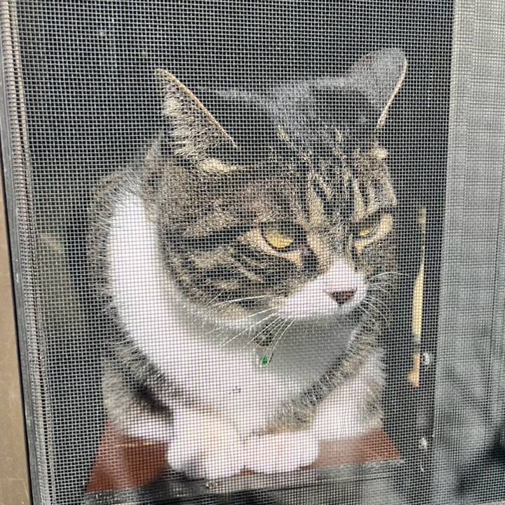 05c67f53 52ec 416f a691 e28d37115775 1777072219719