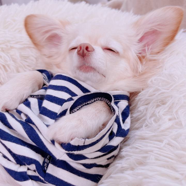 05c6b36f 2610 4370 9a00 fe1469ada14b 1694341383369