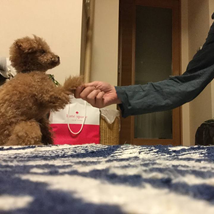 05c6ce7c 8a2a 4b76 92da c1cf6d1fa2a5 1515329451284