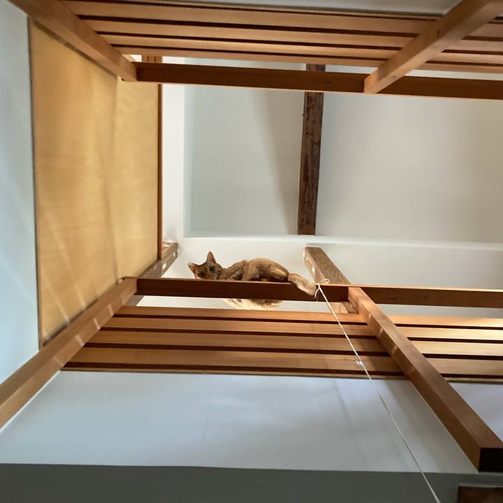 05c6d58b 73f5 4ff6 9034 05330b2ea416 1619402547030