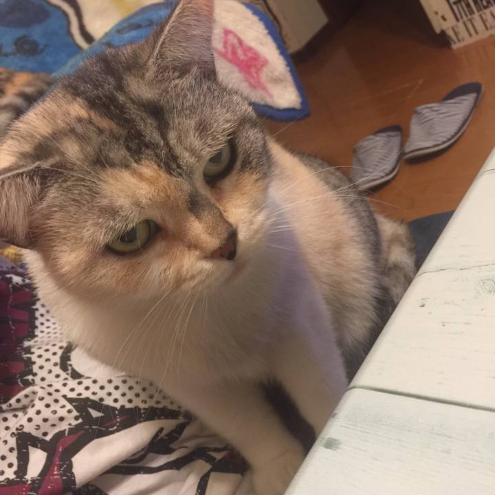 05c6dc35 b526 4c17 aa2b 3384af796f92 1571916597861