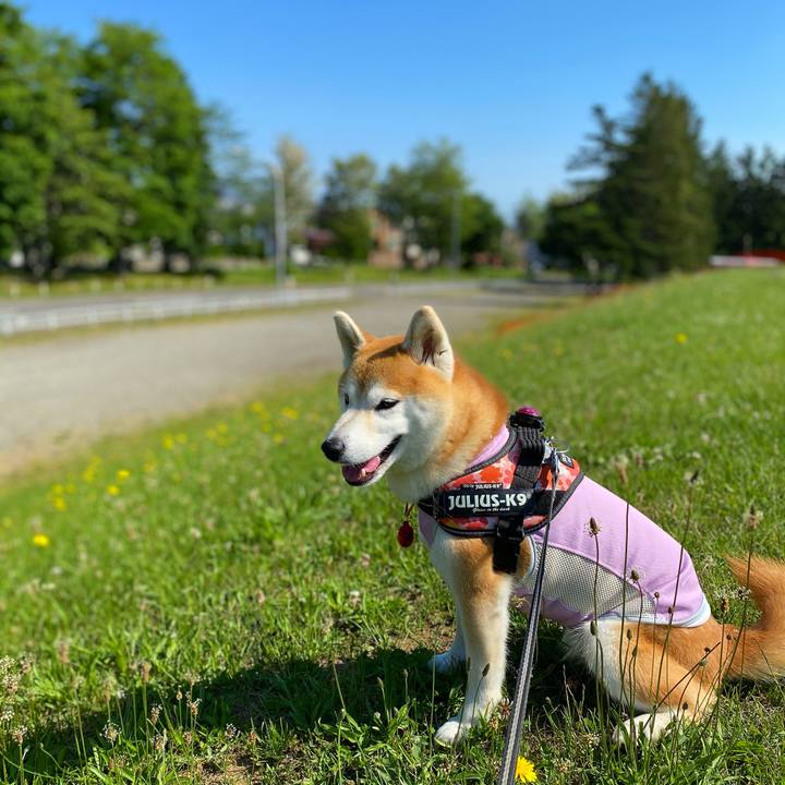 05c7845d 06fc 4d80 9ca5 9b9d0bb449aa 1623901747448