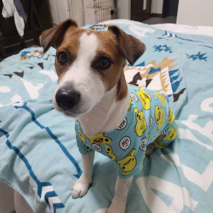 05c78ef5 f6ca 4ffb 8d4f b1b34e30fda1 1666777294653