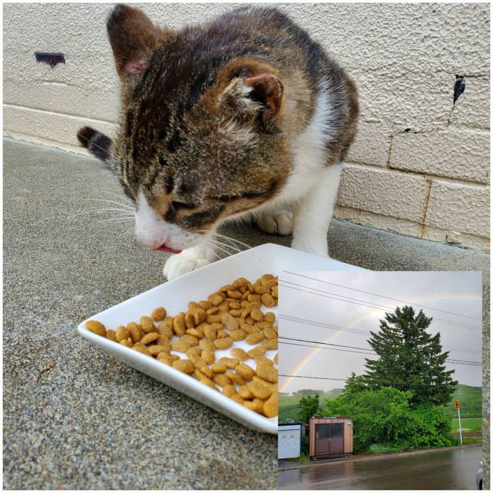 05c79c35 e3f6 4a00 be96 34b173f705ae 1719061418084