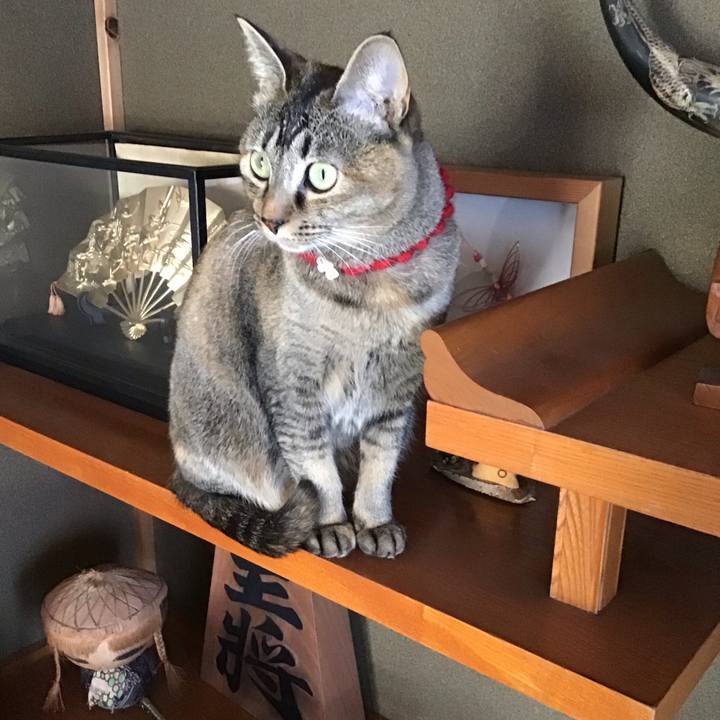 05c7b284 3b61 4f9e a5de 0ee7285a0734 1613457906465