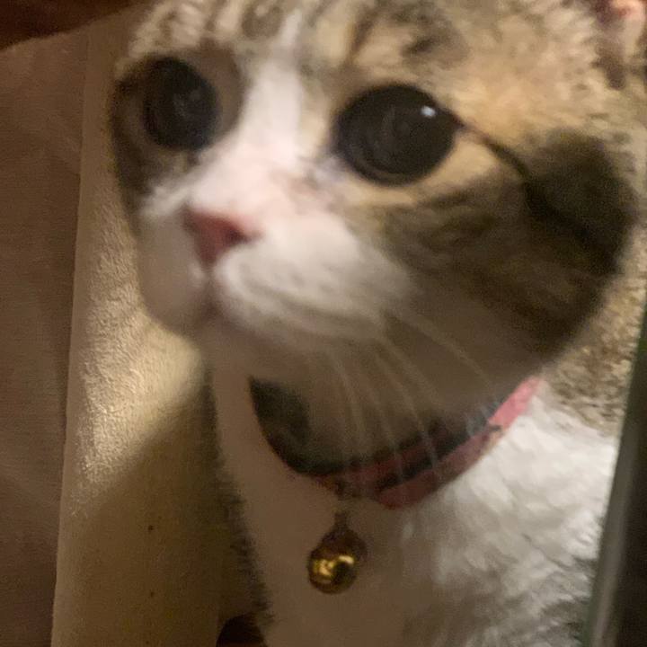 05c7e084 42ad 4a6f 9d8a d348d7e11edd 1741434385258