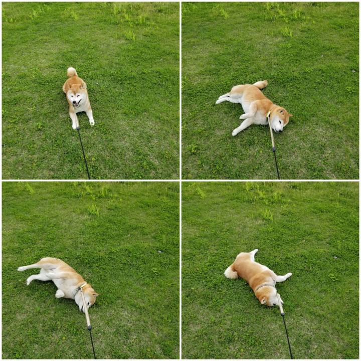 05c7e69b 3d06 4f17 8f67 9ef981b62aa8 1652946031924