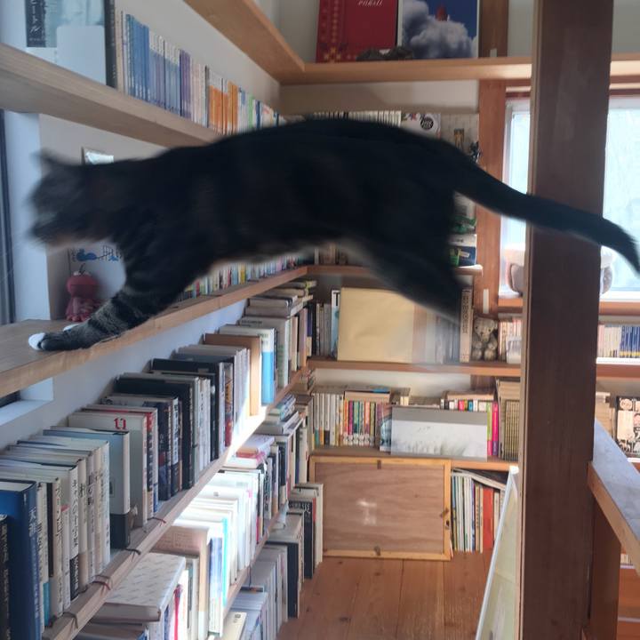 05c81ec9 db83 4fde 816d 601eb98328d6 1541207308876