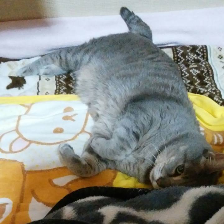 05c83830 a150 459e 9ec8 2d67d03d54e3 1578934248147