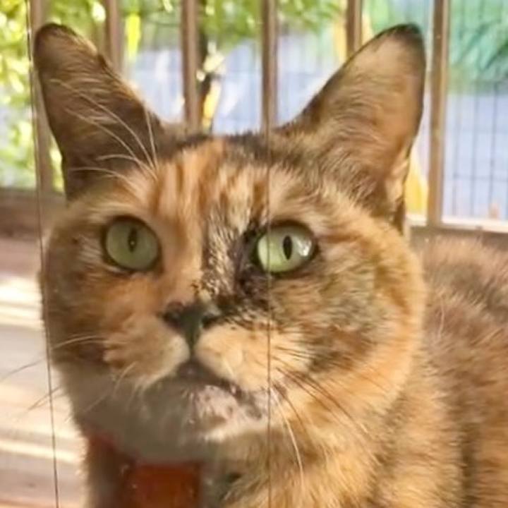 05c83d4f 2724 4bdc b754 8114dfc754bb 1734831393747