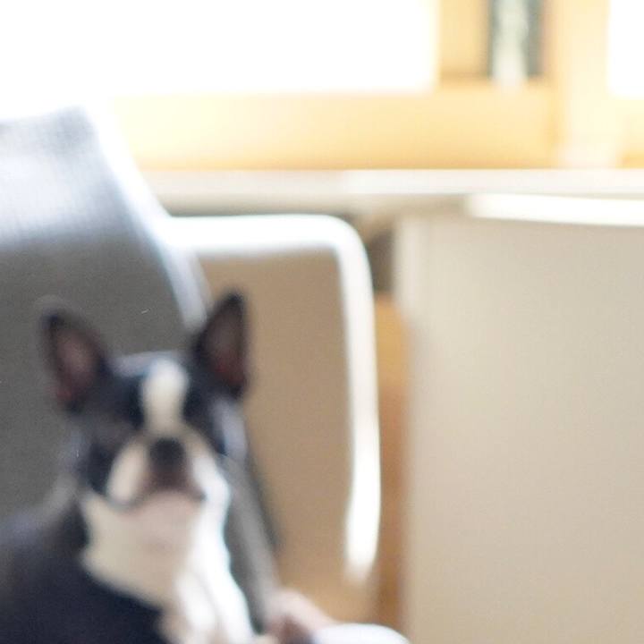 05c8c2d1 9003 4271 81be ae8c6d9b1b2c 1596184366894