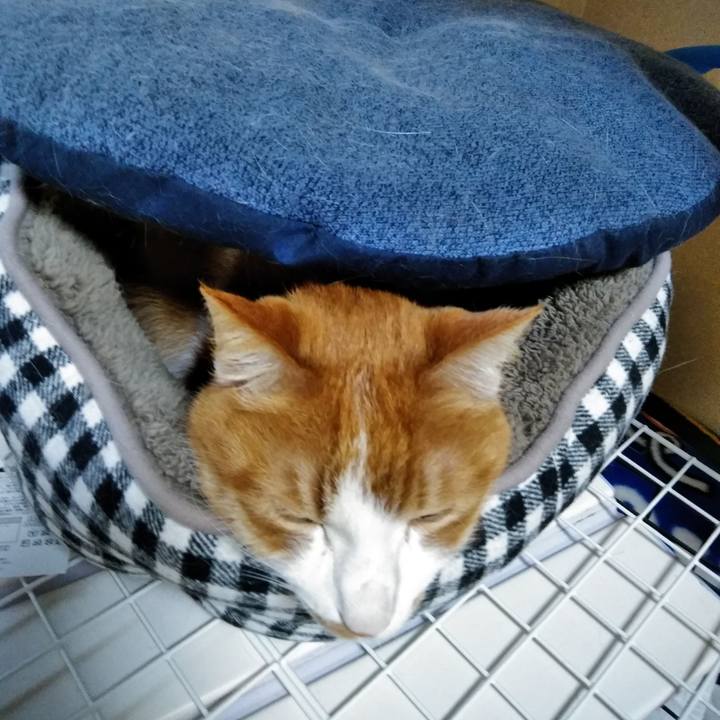 05c8ddeb bb34 4dcf 9cb0 79c6125385ac 1553722979307