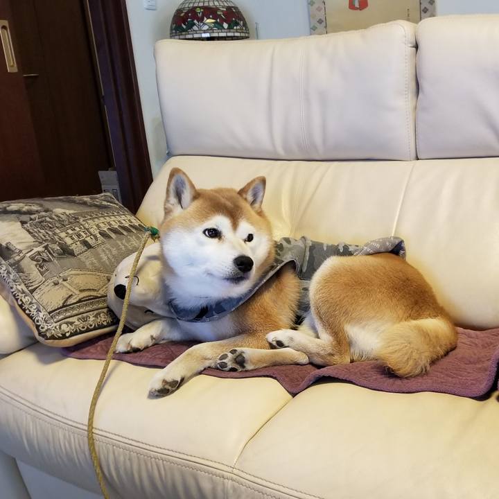 05c8f44f 0f2d 4459 a208 0817295f4b60 1614726092331