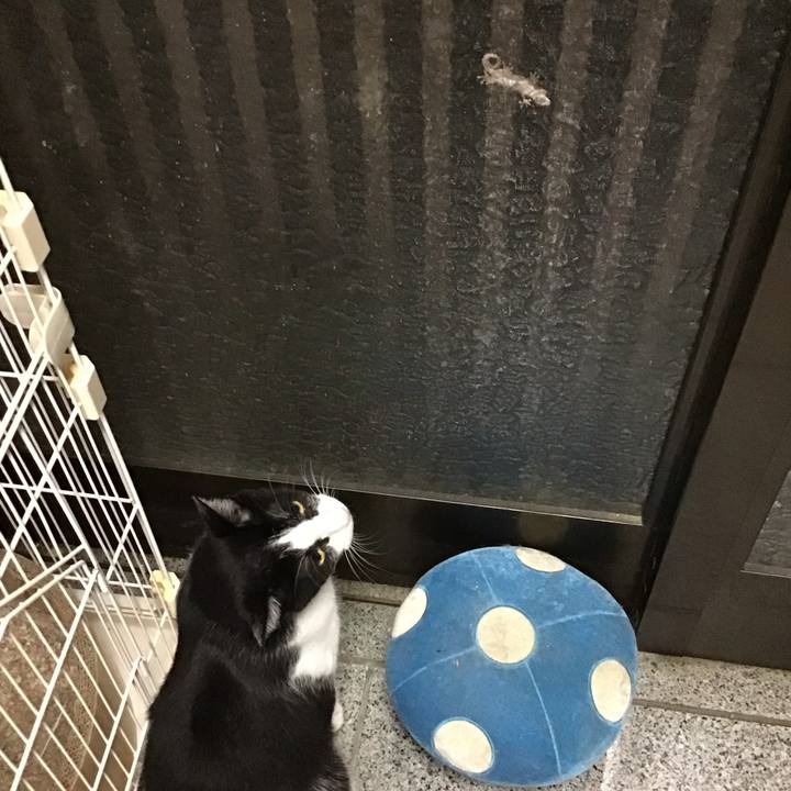 05c941bc 1190 42b2 809d bee15eb821b8 1754047745739