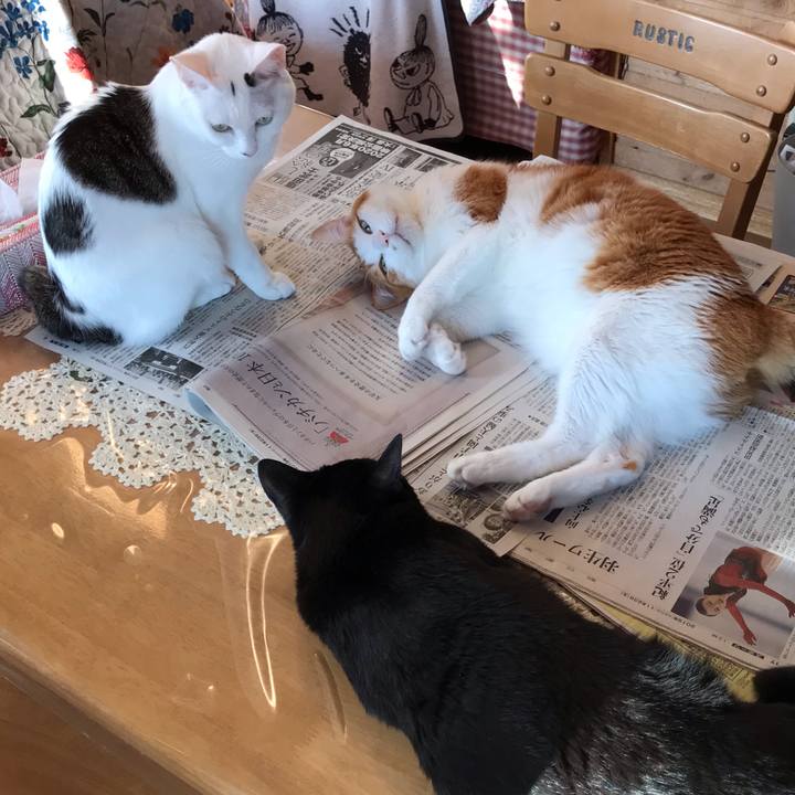 05c962e1 b6af 495f 9ce7 cd4d3a69cc5f 1574467391903