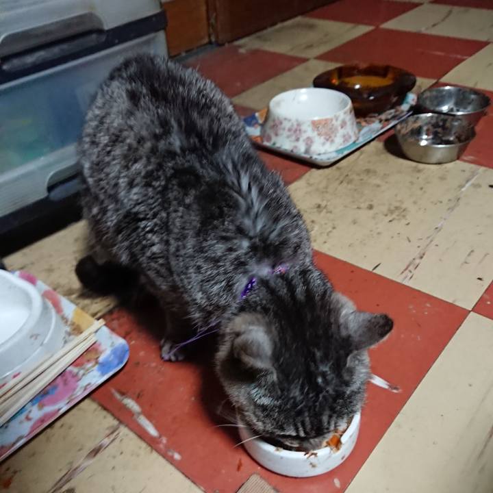 05c966ce 1a65 43f2 aa8f ac23da99df2f 1585511771755