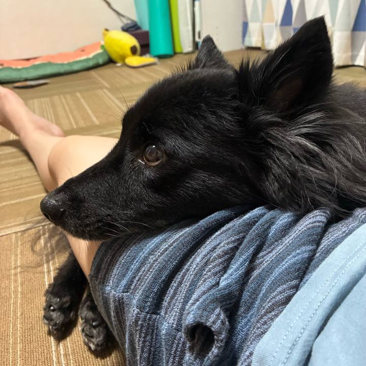 05c96944 20fe 4f90 b67d b04b7865bffc 1755820229711