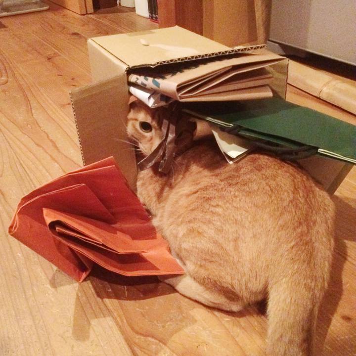 05c99780 3f25 4c3a a849 0666f0ecef94 1583885250223