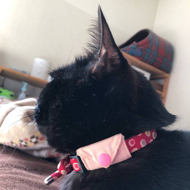 05c9e6c7 9caf 4f1b 8c87 e1b48df9c32d 1622414959751