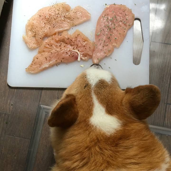 05c9f47f 2576 40db a582 0027f0e33ed2 1557018625187