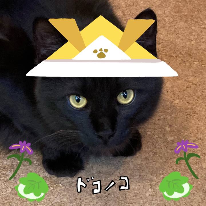 05ca34e0 b083 4d06 b6cd 599d6c2fdaa3 1714971598473