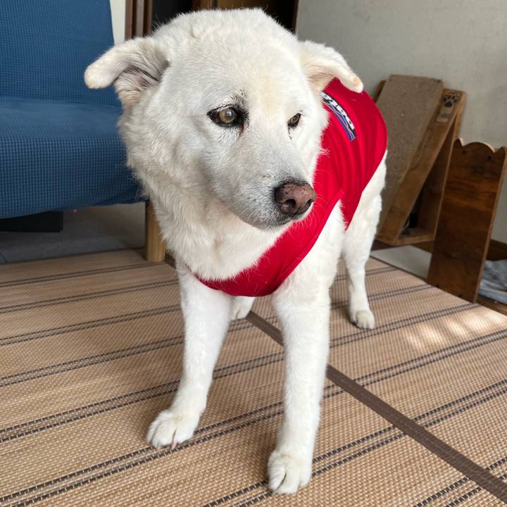 05ca4907 dd70 403e 8d25 92325d60247b 1758672734618