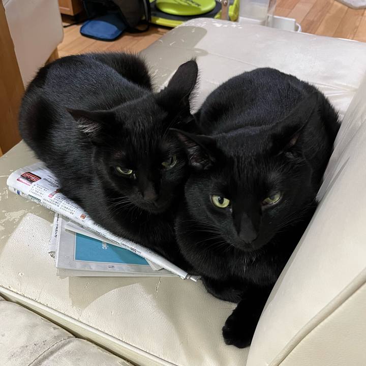 05ca661c fa99 455f b6ef 3e6fbfe9879d 1652102625007