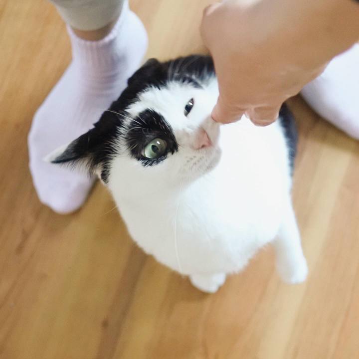 05ca94f0 7fc0 4c45 8772 64e249e0cb41 1583999764954