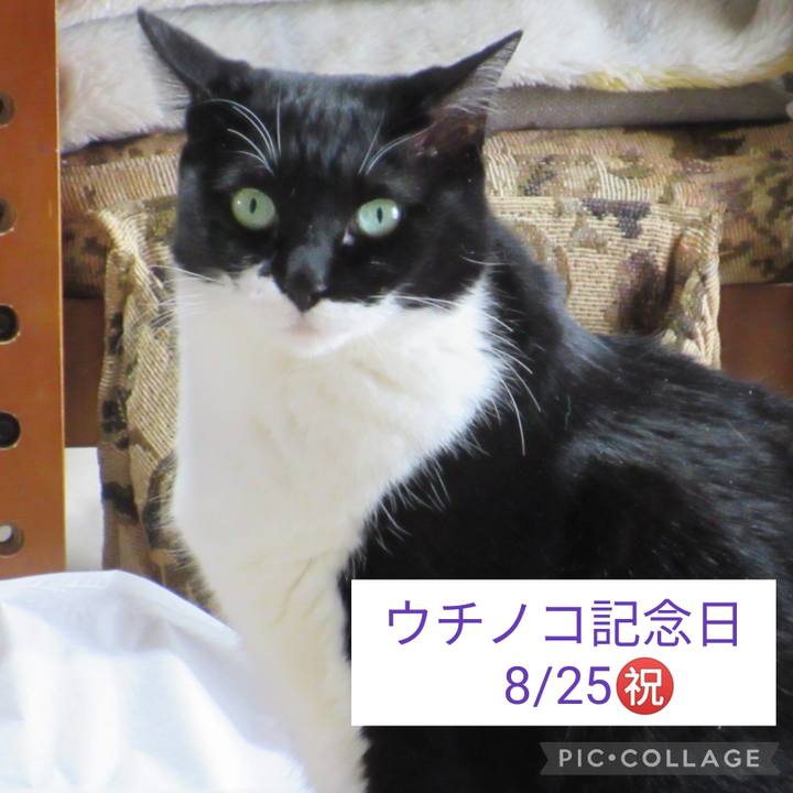 05ca99ab 1c79 4656 a1c1 ffcfdf78ce87 1661383457249