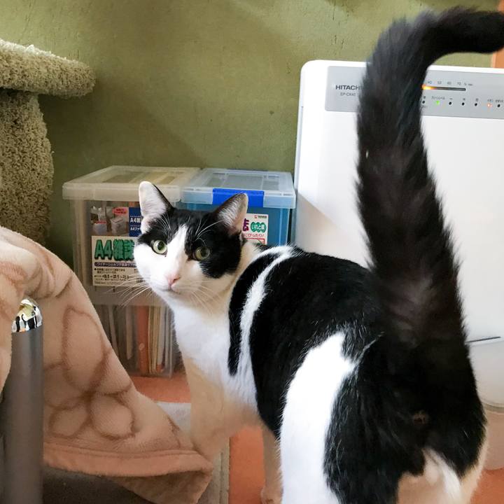 05caa7df 181c 4b09 8553 4ff0864ffdc1 1518051102683