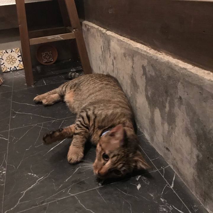 05cb1829 efc4 4963 9264 92ea19c943d7 1540300101399