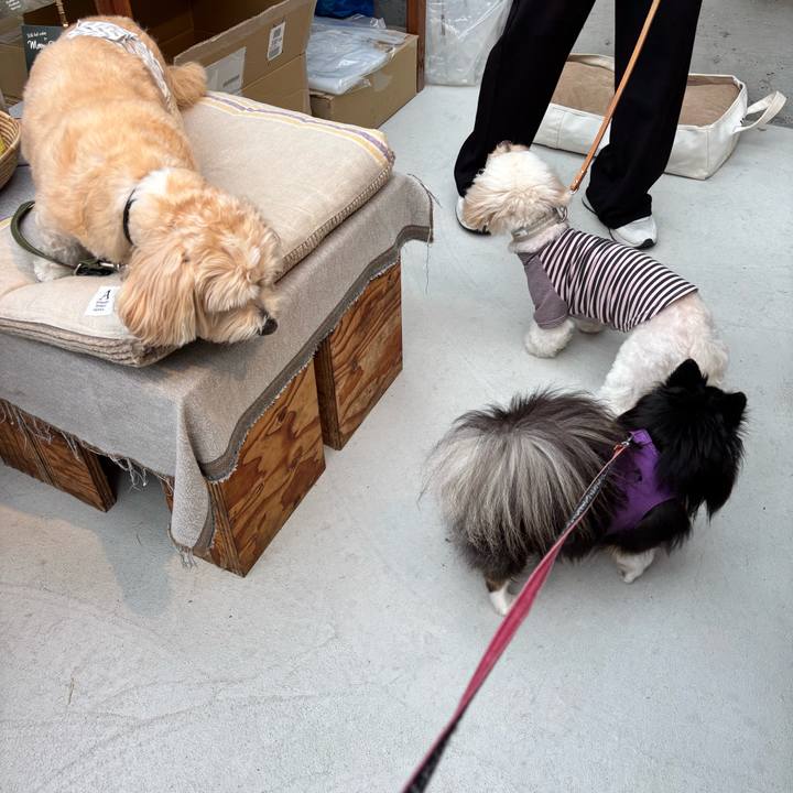 05cb1ba3 e5b4 4434 b866 40e6e810cb95 1759565490859