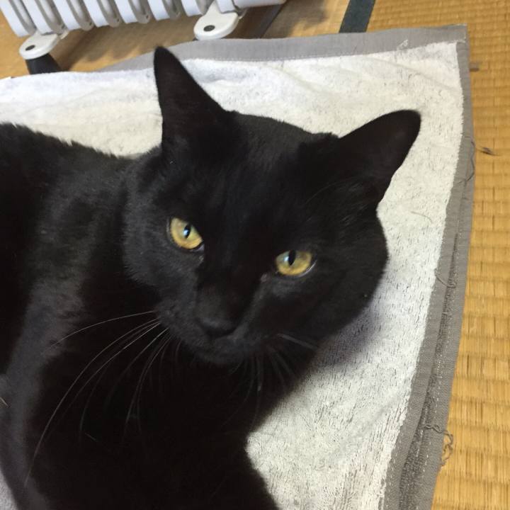 05cb83cb c057 47d6 aa7a 4a4261da3a1b 1511922250735